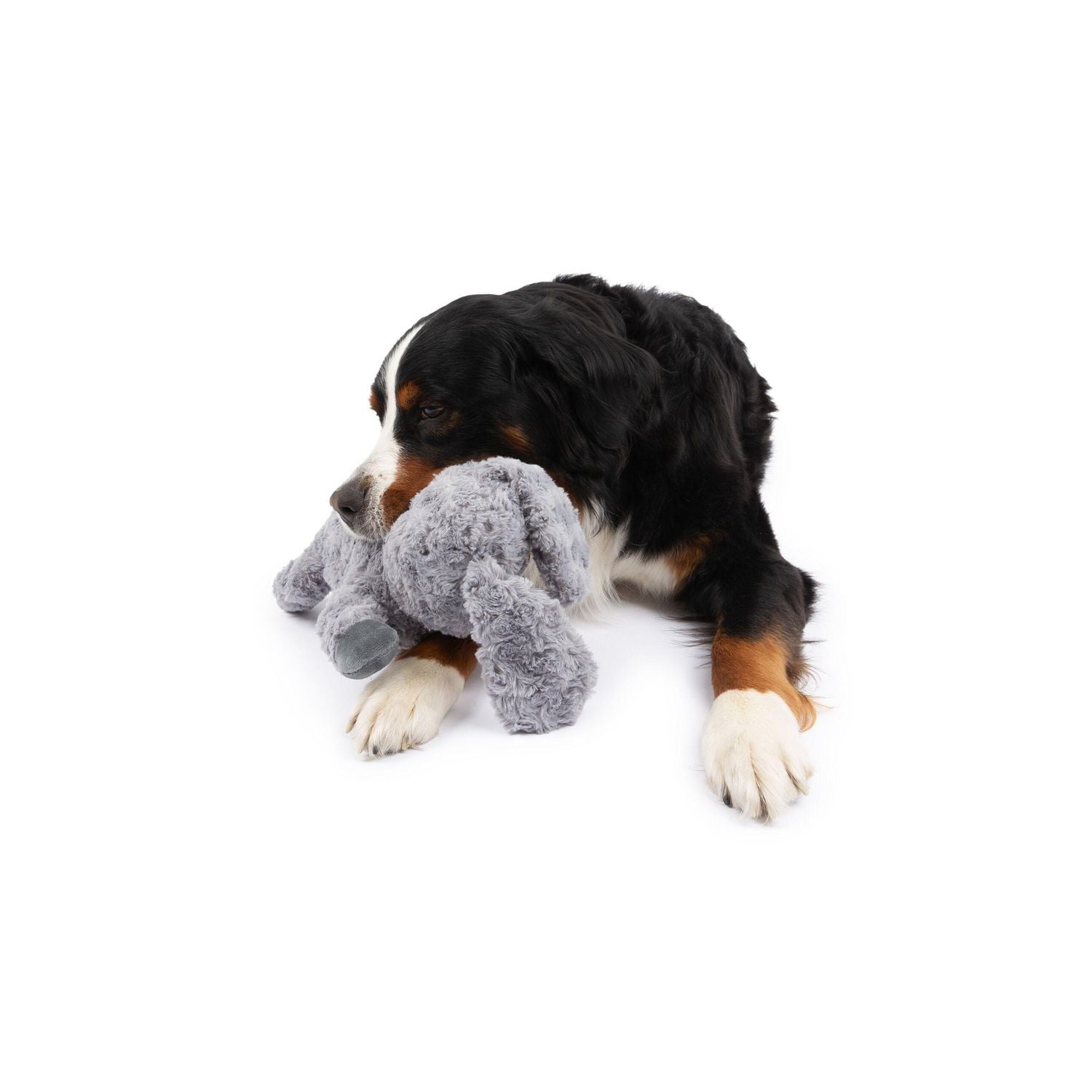 One Paw, Jouet en peluche pour chien en forme de lapin Jouet en peluche pour chien en forme de lapin