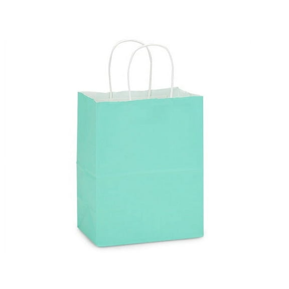 Aqua White Kraft Shopping Bags Cub 8x4.75x10", 25 Pack