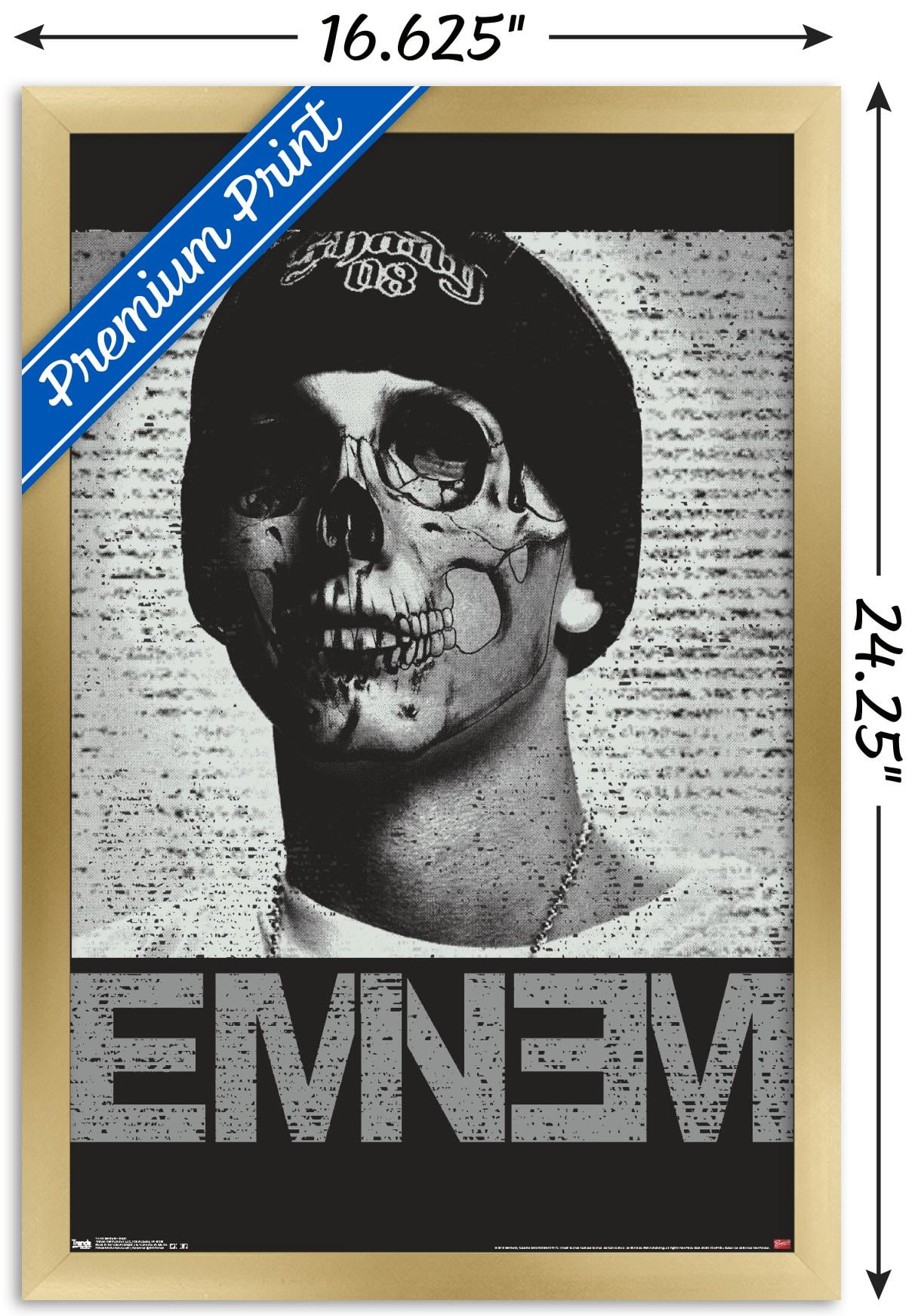 Eminem - Skull Wall Poster, 14.725