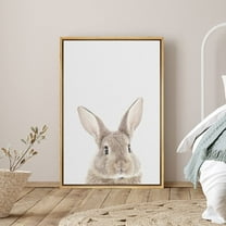 PixonSign Framed Canvas Print Wall Art Brown Bunny Rabbit Portrait on Gray Background Animals Wildlife Photography Minimalism Modern Closeup Cool for Living Room, Bedroom, Office - 16"x24" Natural
