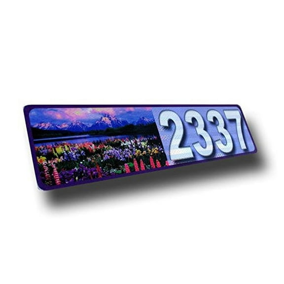 Mountain, Flowers, Curb, Mailbox, House Address Plaque, Reflective