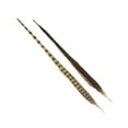 thumbnail image 3 of ZUCKER® 10 PC/PKG RINGNECK PHEASANT TAILS 20-24" - NATURAL, 3 of 5