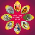 thumbnail image 6 of Audubon Park Winter Treat Wild Bird Food, Premium Seasonal Blend, Dry, 2 lb. Bag, 6 of 9