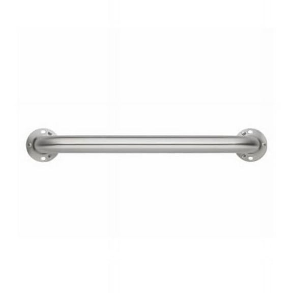 24 in. Stainless Steel Grab Bar with 1.5 in. dia. Exposed Screws