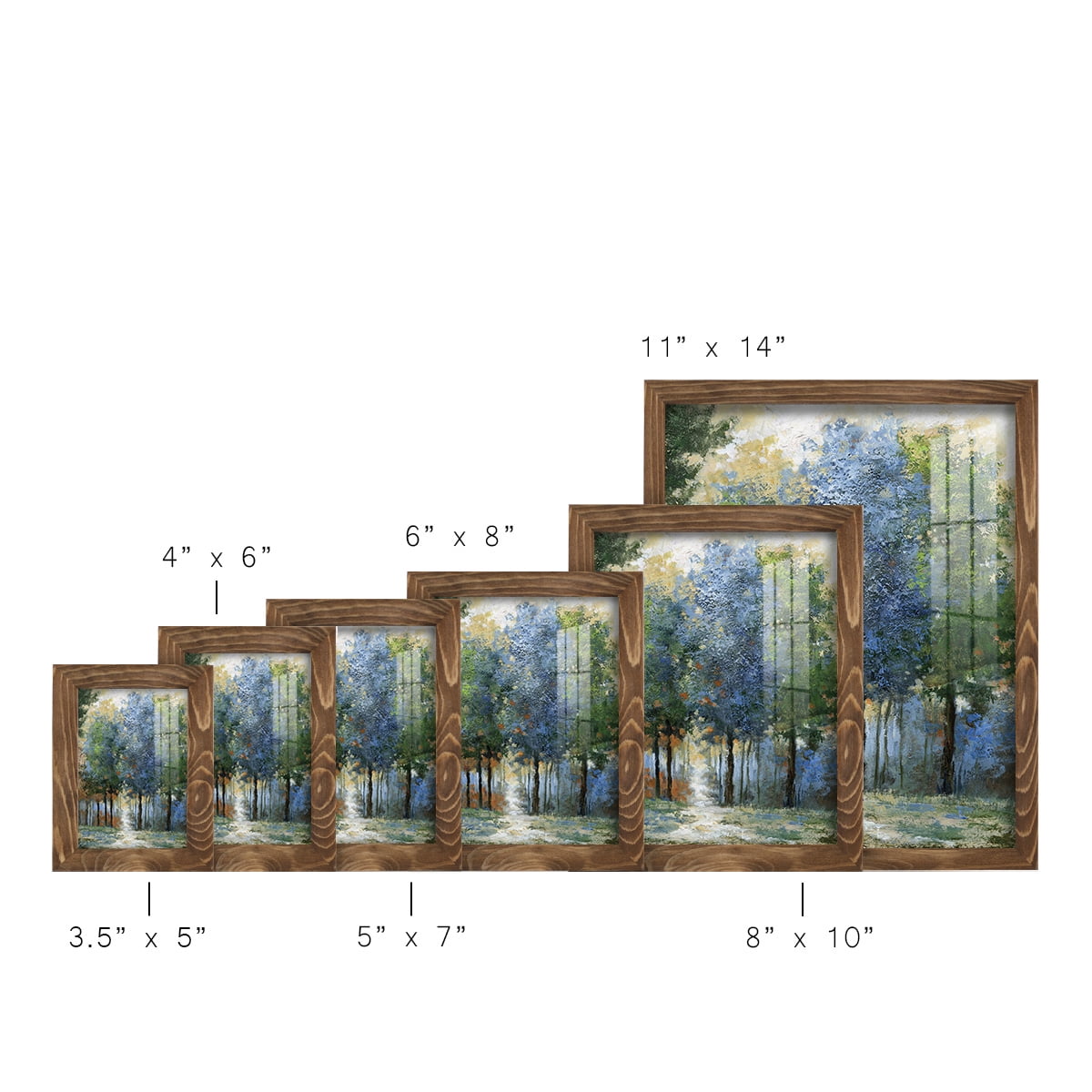 Afternoon Light -Framed Print w/glass-Walnut
