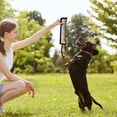 thumbnail image 5 of Dog Toys Interactive Dog Toys Dog Game Toys With Handles Ropes And Traction Training For Dogs, 5 of 5