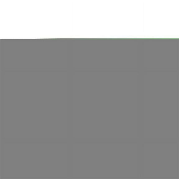 Saro Lifestyle Striped Tassel Throw Pillow Cover