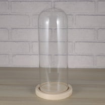 Moluckfu Glass Cover with Wooden Base Decorative Glass Dome Cover Colleagues Store Decor 1Pcs