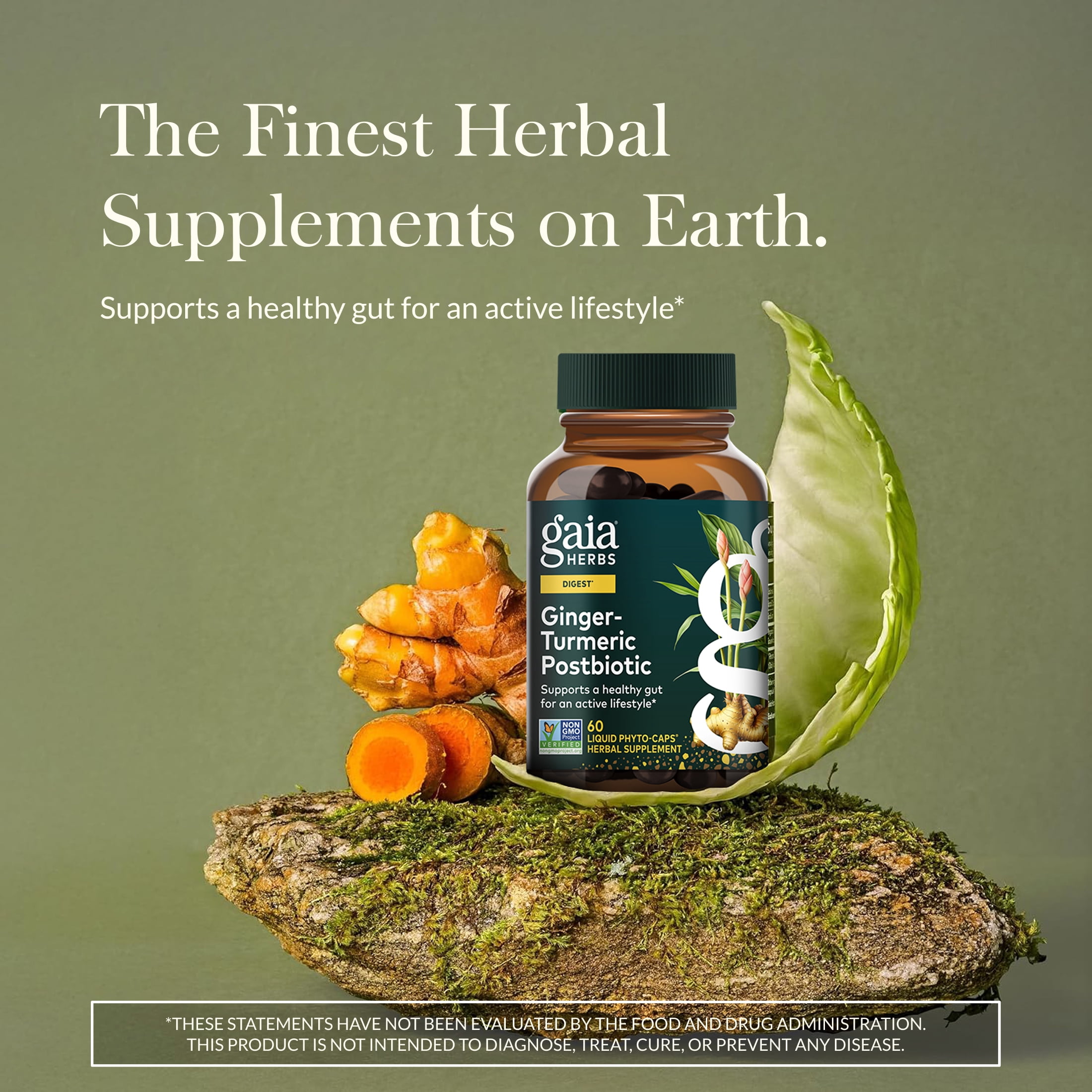 Gaia Herbs Ginger-Turmeric Postbiotic - Healthy Gut Support* - 60 Vegan Liquid Phyto-Caps (30 Servings)