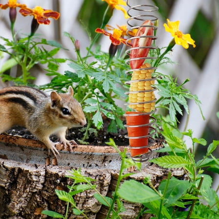DRAFIDEEP 4Pcs Silver Squirrel Feeder Corn Cob Holder for Easy Outdoor Wildlife Feeding