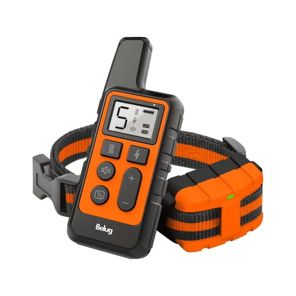 Collar De Adiestramiento De Perros Eléctrico Belug Negro Anaranjado