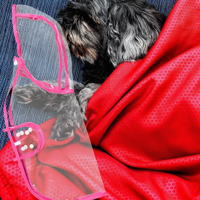 WHAMVOX Impermeable Para Perros Con Y Capucha Ajuste Cómodo Ideal Para Caminar