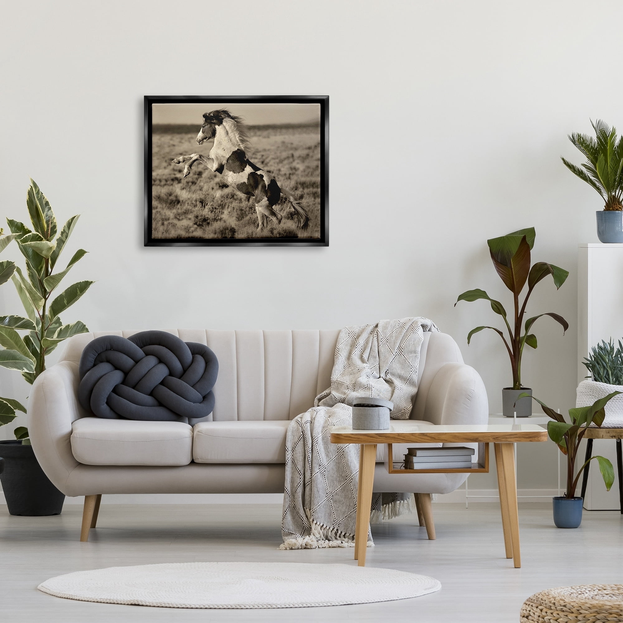 Stupell Industries Rearing Spotted Horse Rural Countryside Field Photography Photograph Jet Black Floating Framed Canvas Print Wall Art, Design by Lisa Dearing