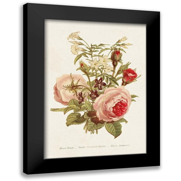 Unknown 11x14 Black Modern Framed Museum Art Print Titled - Antique Floral Bouquet III