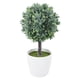 thumbnail image 1 of Planta esférica falsa para decoración de ventanas de interior, plantas artificiales de plástico en maceta para escritorio., 1 of 6