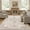 Beige Grey, variant on UERMEI 3x5 Washable Area Rugs for Living Room, Modern Vintage Printed Rug, Vacuum-Friendly, Non Slip Indoor Rug for Bedroom Dining Room Home Decor Carpet, Black