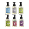 Mrs. Meyer's Mrs. Meyer's Foaming Hand Soap 6 Scent Variety, Lemon Verbena, Lavender, Rainwater, Watermelon, Apple, Plumberry, 1 CT Variety Pack