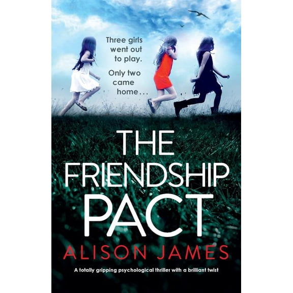 The School Friend : A totally gripping psychological thriller with a brilliant twist (Paperback)