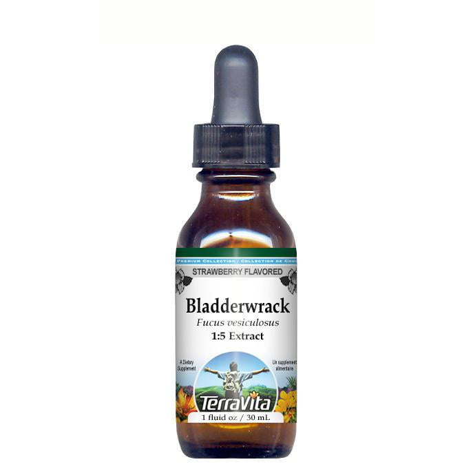 Bladderwrack Blue-Green Kelp Glycerite Liquid Extract (1:5) Strawberry Flavored (1 fl oz,... by TerraVita