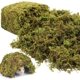 thumbnail image 1 of Musgo artificial artificial Riare de 0,6 kg para decoración de plantas de interior, 1 of 7