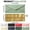 Beige, variant on Business Envelopes with V Gold Border #10 Standard Paper Mailing Checks Letters Office