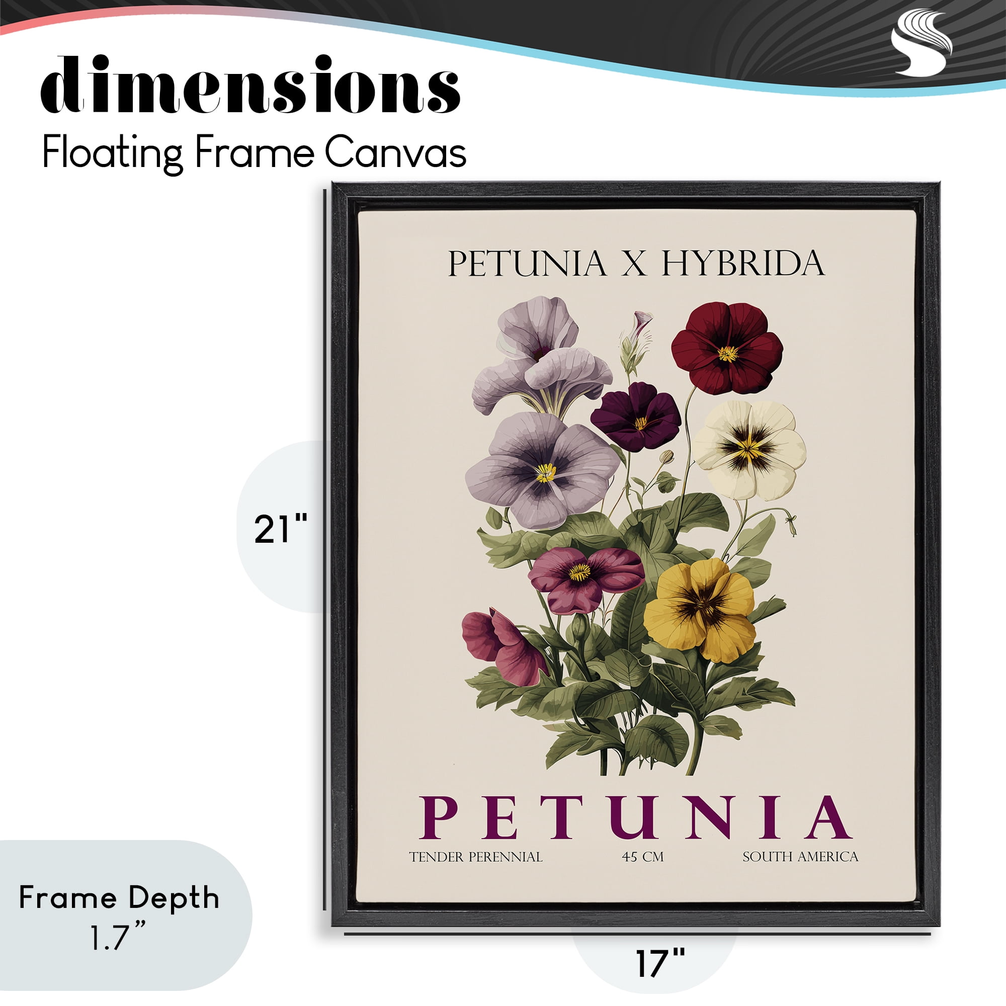 Stupell Industries Natural Petunia Bundle Black Framed Floater Canvas Wall Art, design by Christopher Giampietro