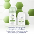 thumbnail image 4 of Dove Advanced Care Cool Essentials Antiperspirant, 14g, 4 of 6