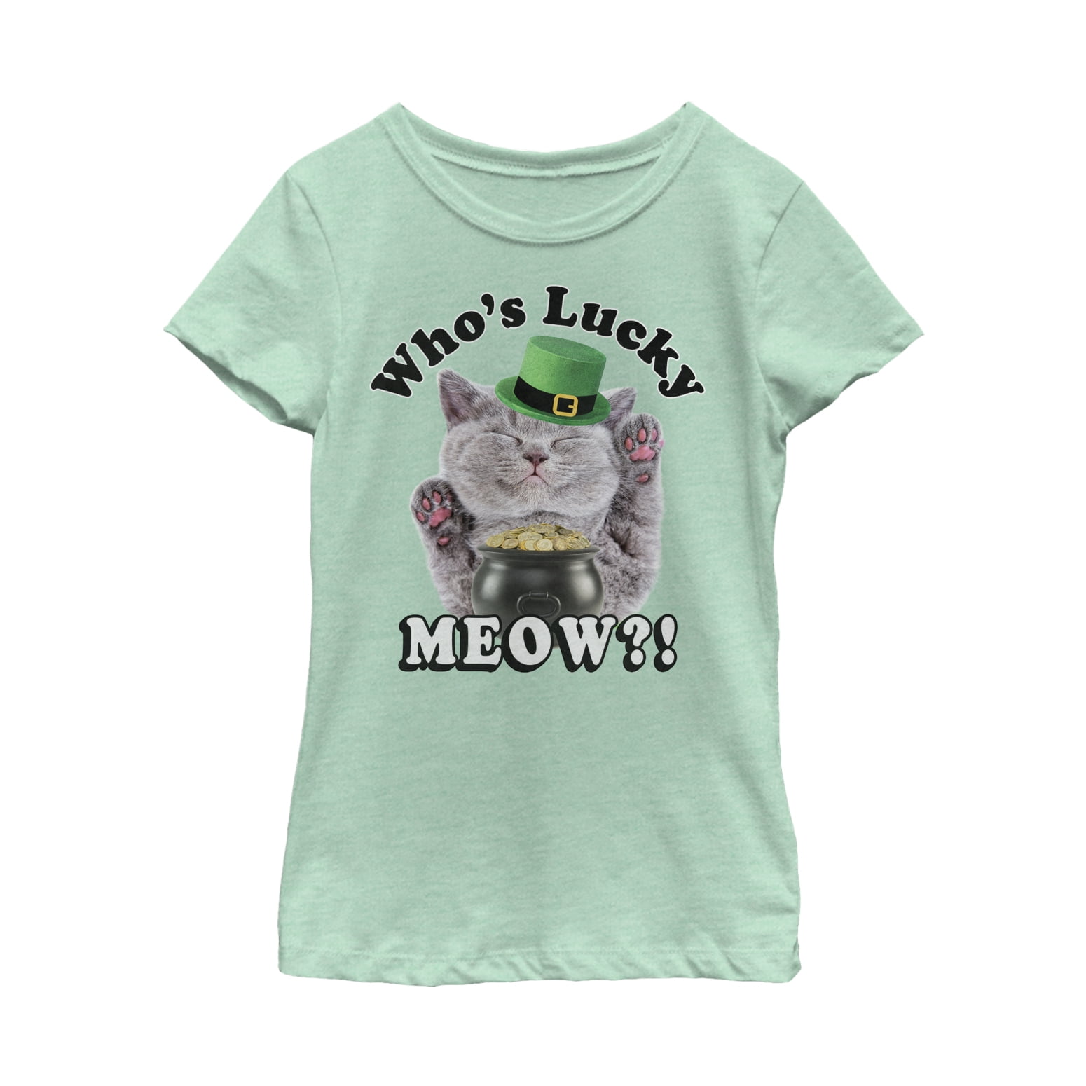 Leprecat Leprechaun Cat Women's V-Neck T-Shirt Funny Irish St Patricks 