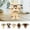 A 2M9, variant on ZZkhGO Adorable Dog Shape Eyeglass Stand, Decorative Tabletop Holder for Spectacles, Cute Desk Organizer for Reading Glasses Sunglasses