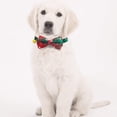 thumbnail image 5 of Dog Collars, 5 of 5