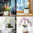 thumbnail image 4 of BUYMAX 6+5 inch  Orchid Pot with Holes, Ceramic Plant Pots with Drainage Holes and Tray,Decorative Indoor Outdoor White Flower pots with Saucers, 4 of 8