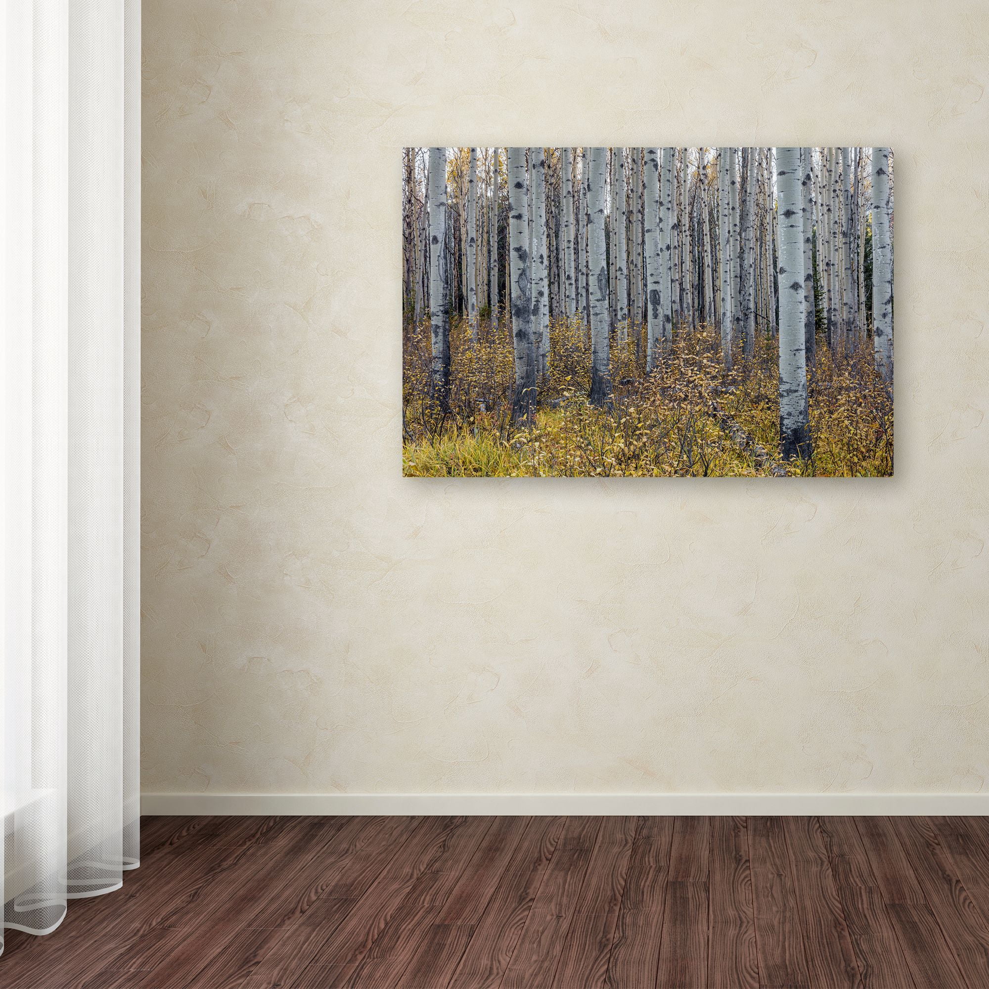 Pierre Leclerc 'Aspen Trees in Autumn' Canvas Art 16 x 24