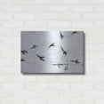 thumbnail image 3 of Luxe Metal Art 'Bird's footprints' by Luxe Portfolio, Metal Wall Art, 24"x16", 3 of 8