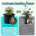 thumbnail image 3 of SDFGTstore 4x Reinforced Grow Pots Gardening Bags with Handles for Vegetables Herbs Flowers, 3 of 7