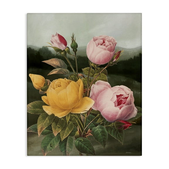 Stupell Industries Vintage Peony Blooms Botanical & Floral Painting Gallery Wrapped Canvas Art Print Wall Art, 16 x 20