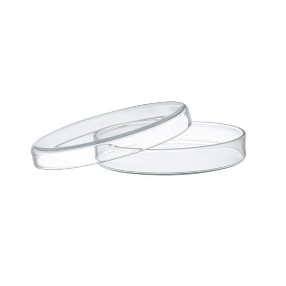 Petri Dish, 8" (200mm) - Beaded Edges - Easy to Sterilize for Repeated Use - Soda Glass - Eisco Labs
