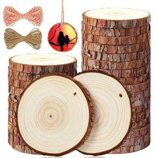 10Pcs 5.5-6 Inch Wood Slices, Unfinished Natural Craft Wooden Circles Tree  Slice for DIY Crafts Wedding Decorations Holidays Ornaments Arts Wood