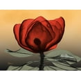 thumbnail image 2 of Koetsier, Albert 32x25 White Modern Wood Framed Museum Art Print Titled - Hot Magnolia 2, 2 of 4