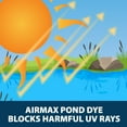 thumbnail image 4 of Airmax Black DyeMond Pond Dye for Large Ponds & Lakes, Fish-Safe Concentrated Liquid Water Colorant, 1 Quart , 4 of 11