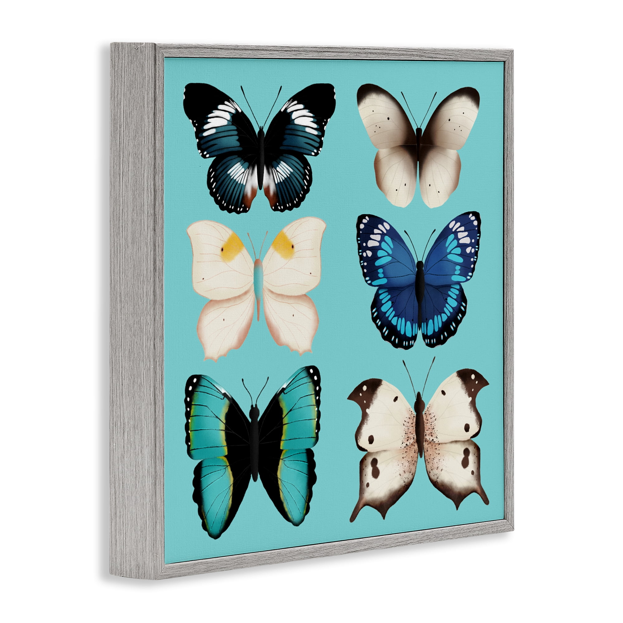 Stupell Industries Six Diverse Butterflies on Turquoise Gray Framed Giclee Art, design by Metka Hiti