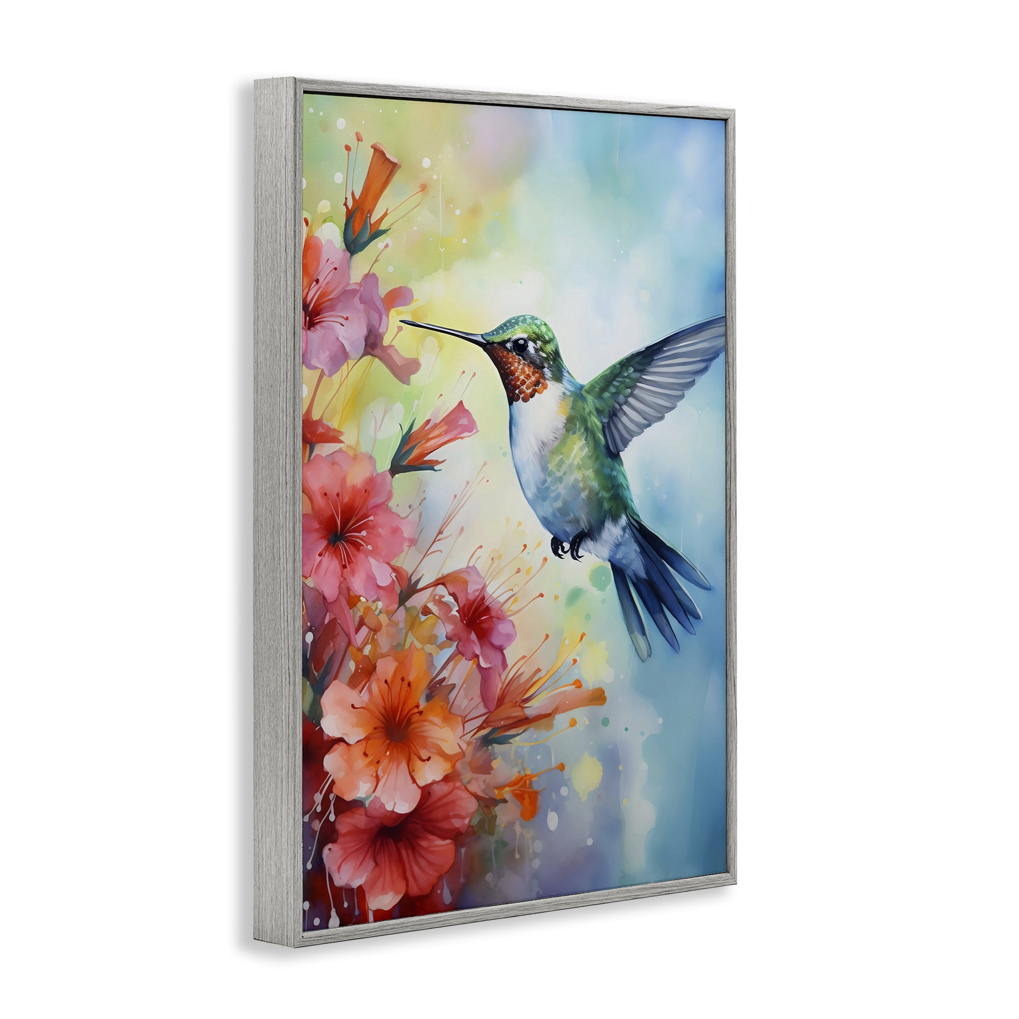 Stupell Industries Hummingbird Hibiscus Serenade Gray Framed Giclee Art, design by Creative Studio
