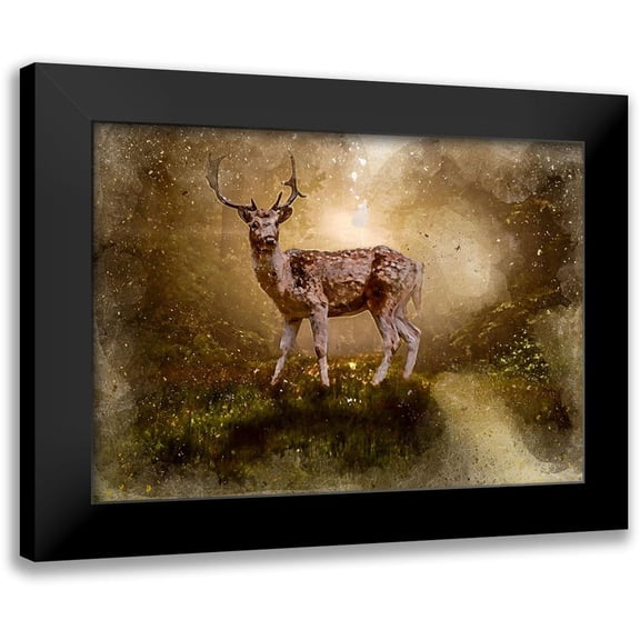 Bolokofsky, Ronald 14x11 Black Modern Framed Museum Art Print Titled - Deer In the Forest
