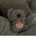 thumbnail image 4 of Evora Soothing Koala Bear, The Relief Koala Breathing Koala Sleep Buddy, Acurrucarse Koala Calmante Ansiedad, Dormir Koala Plush Breathing, Baby Sound Plu, 4 of 5