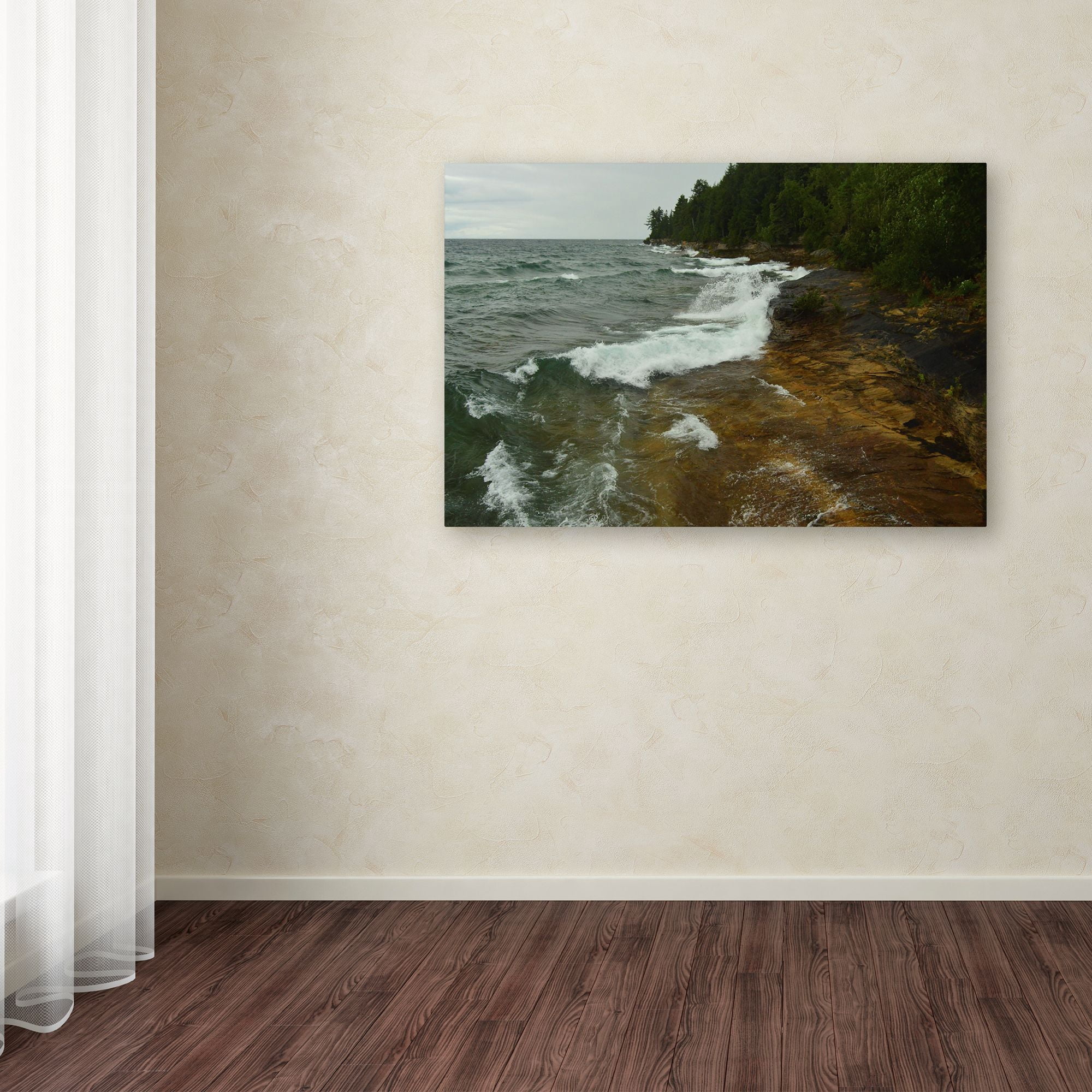 Trademark Fine Art 'Lakes 11' Canvas Art by Tom Kelly