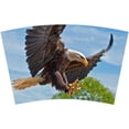 thumbnail image 3 of Mugzie 16-Ounce Tumbler Drink Cup with Removable Insulated Wetsuit Cover - Attacking Eagle, 3 of 4