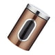 thumbnail image 1 of Yuarrent Recipiente de cocina de acero inoxidable, 1 unidad, recipientes de almacenamiento de azúcar, comida, té, café, dulces, con botellas de Teteras marrón Yuarrent HA003117-03B, 1 of 6