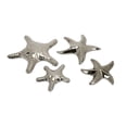 thumbnail image 1 of IMAX Corporation Cortland Silver Star Fish (Set of 4), 1 of 1