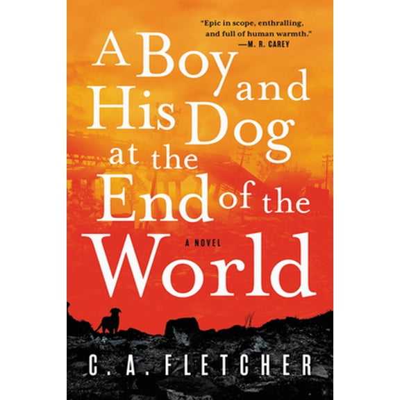 Pre-Owned A Boy and His Dog at the End of the World (Paperback) 0316449431 9780316449434