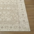 thumbnail image 2 of Livabliss x Nabela Noor Home Asha Printed Vintage Area Rug,5'3" x 7',Taupe, 2 of 10