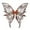 Brown, variant on QccHieUs Butterfly Wing Cute Wearable Fairy Wing for Halloween Festival Party Photo Props Green